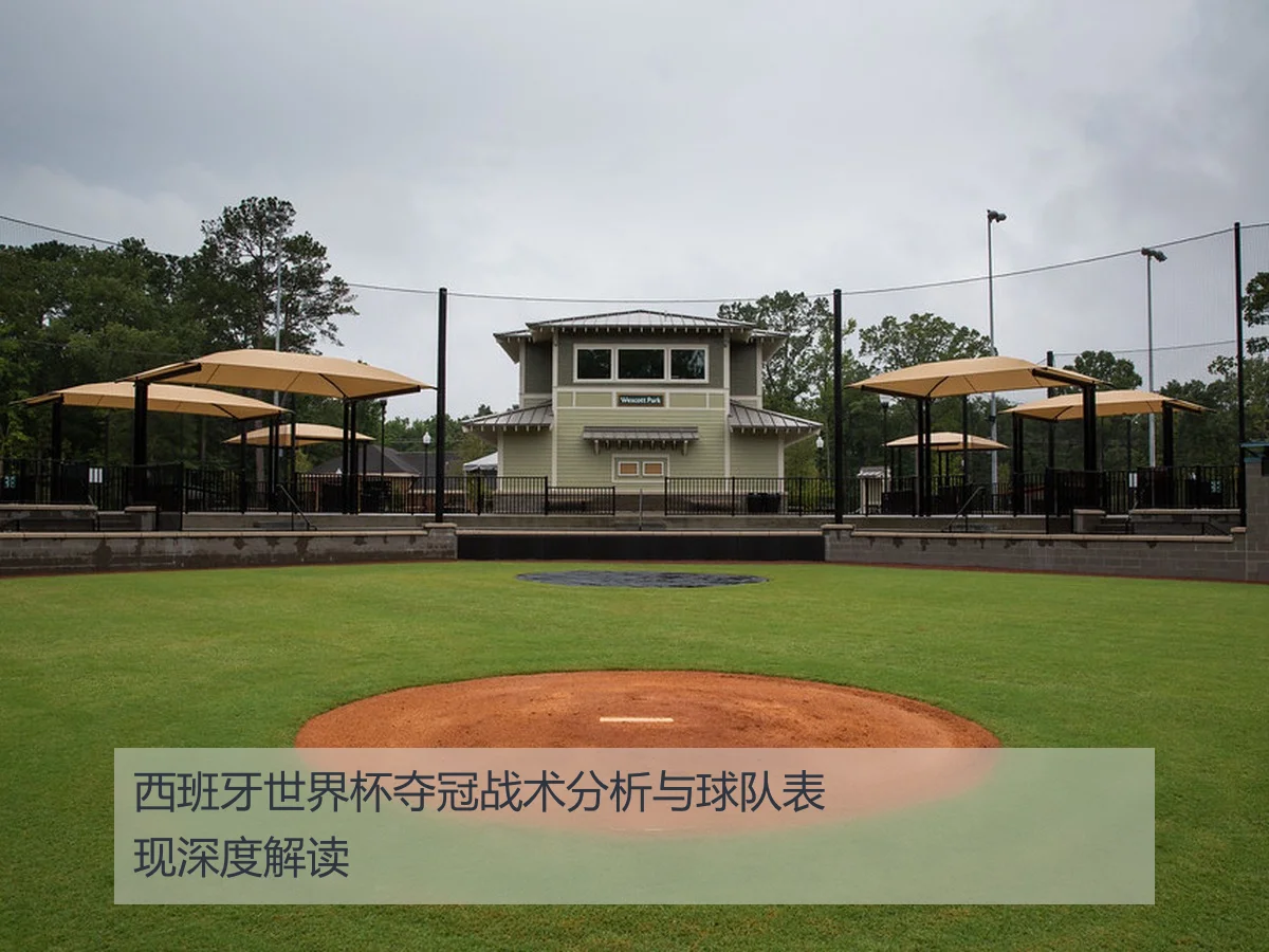 西班牙世界杯夺冠战术分析与球队表现深度解读